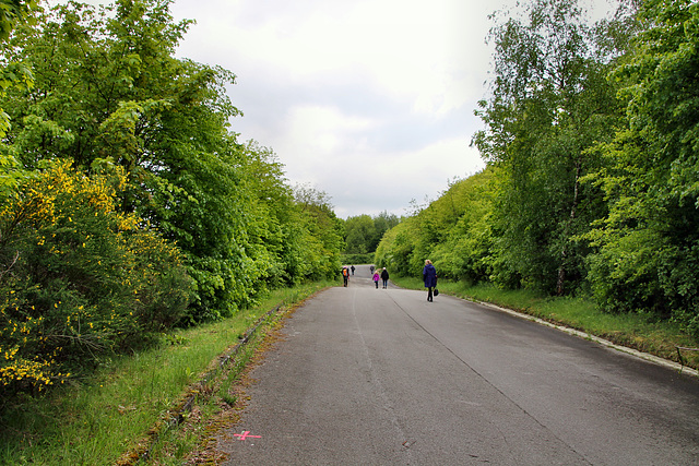 Straße zum Haldengipfel (Halde Oberscholven, Gelsenkirchen-Scholven) / 5.05.2019