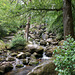 Becky Falls Ancient Woodland Park