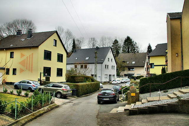 Im Dorf Hiltrop (Bochum-Hiltrop) / 22.02.2020