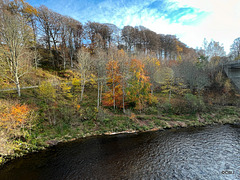 The Spey at Ballindalloch