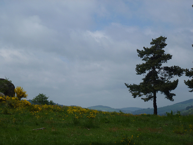 20150514 -17 Chastagnier Lozere VTT-Rando (270) al