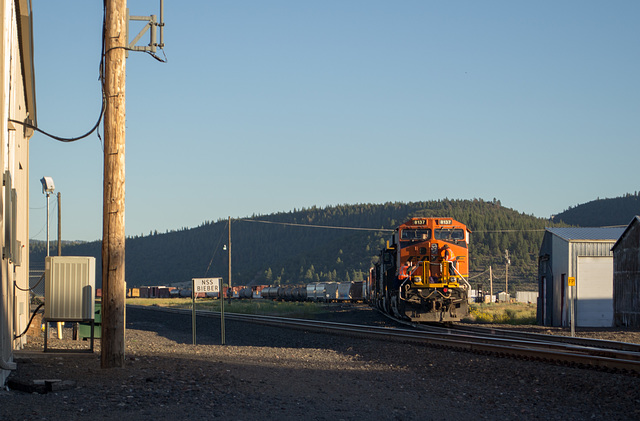 Nubieber CA  BNSF (#0081)