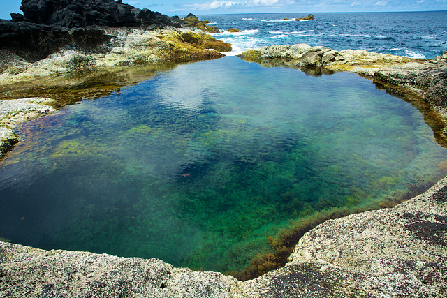 Piscine naturelle