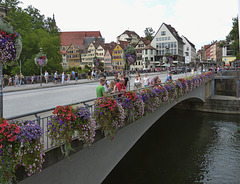 Brücke als: Blumenträger - Zugang zur Neckarinsel - Verkehrsachse - Bushaltestelle - Verweilort zum Sinnieren - Treffpunkt - Photostandort - also: wichtig