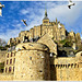 Hungry seagulls over Mont Saint Michel