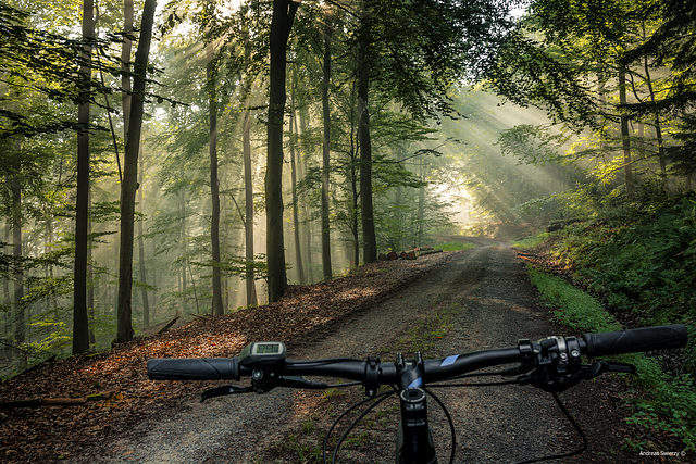 Bike Tour Spessart