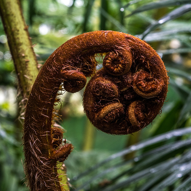 Botanischer Garten