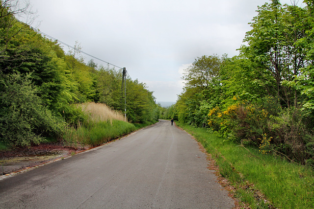 Halde Oberscholven, Gelsenkirchen-Scholven / 5.05.2019