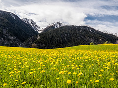 Parc Ela - Graubünden