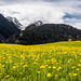 Parc Ela - Graubünden