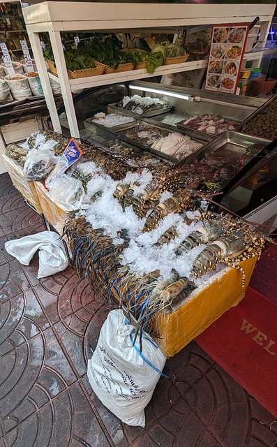 Fruits de mer sur glace  / Seafood on ice