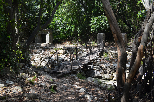 Olympos, Bridge over the Creek in the Forest