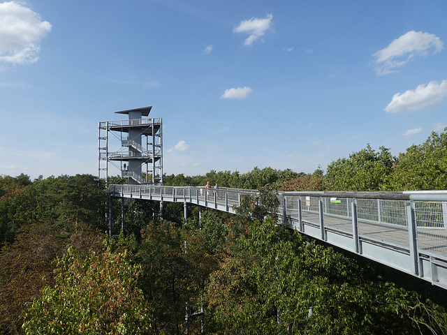 Baumwipfelpfad in Beelitz-Heilstätten