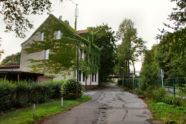Theodor-Otte-Straße (Gelsenkirchen-Beckhausen) / 18.08.2019
