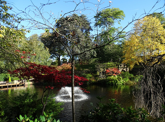 Autumn colour in Shrewsbury