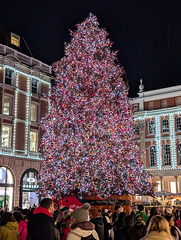 Covent garden Christmas tree