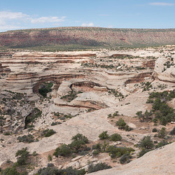 Natural Bridges Natural Bridges