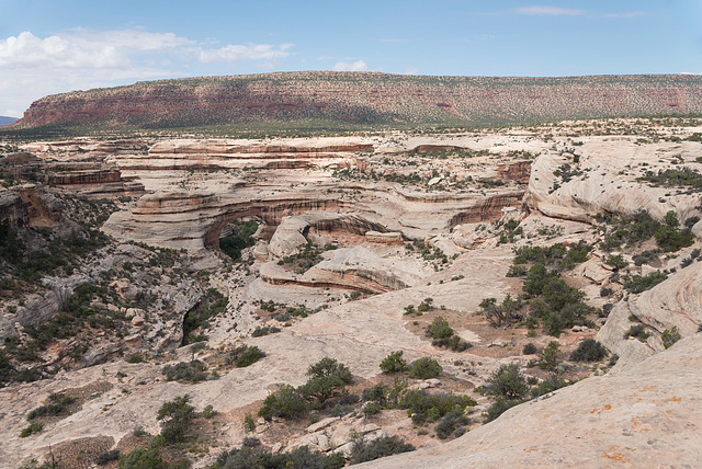 Natural Bridges