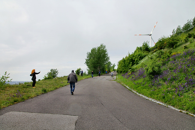 Straße zum Haldengipfel (Halde Oberscholven, Gelsenkirchen-Scholven) / 5.05.2019