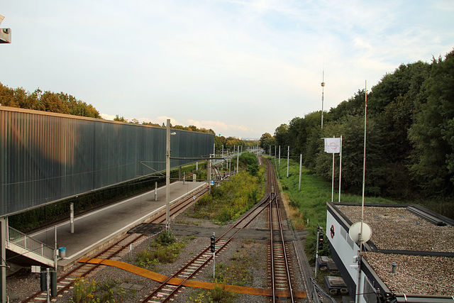 Straßenbahnstrecke nahe der Veltins-Arena (Gelsenkirchen-Erle) / 18.08.2019