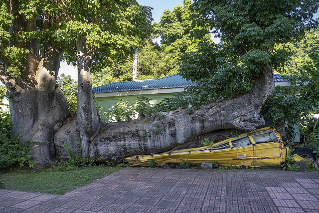 the schoolbus wreck