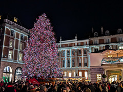 Covent garden Christmas tree