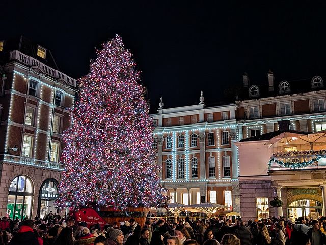 Covent garden Christmas tree