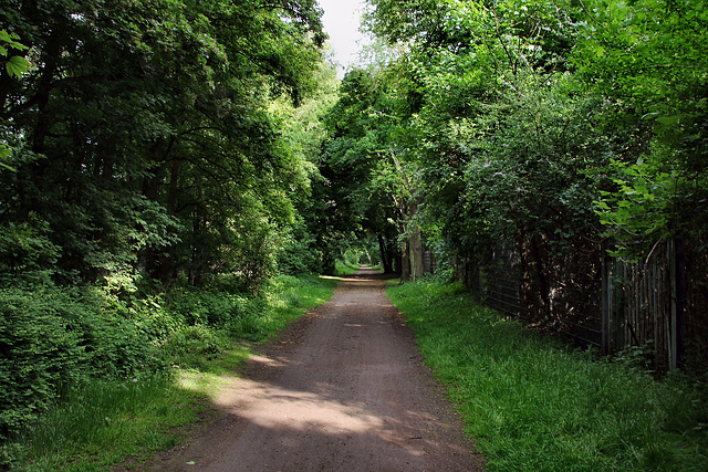 Weg an der Kleinen Emscher (Duisburg-Röttgersbach) / 3.05.2025