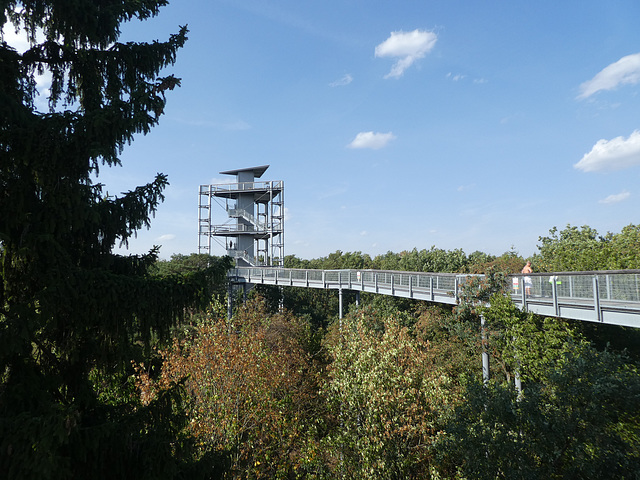 Baumwipfelpfad in Beelitz-Heilstätten