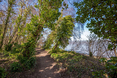 Flint coastal walk4