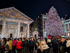 Covent garden Christmas tree