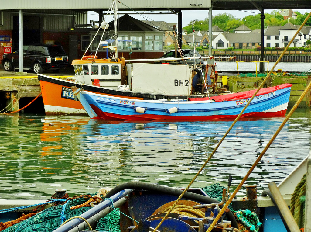 North Shields Fishquay