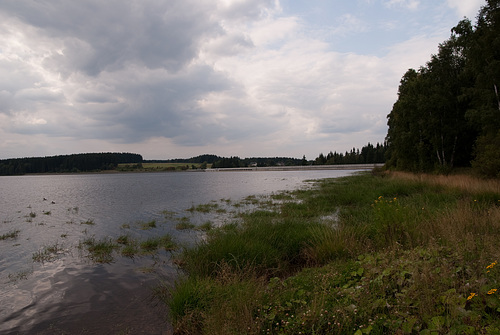 Talsperre Muldental