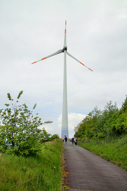 Windkraftanlage auf der Halde Oberscholven (Gelsenkirchen-Scholven) / 5.05.2019