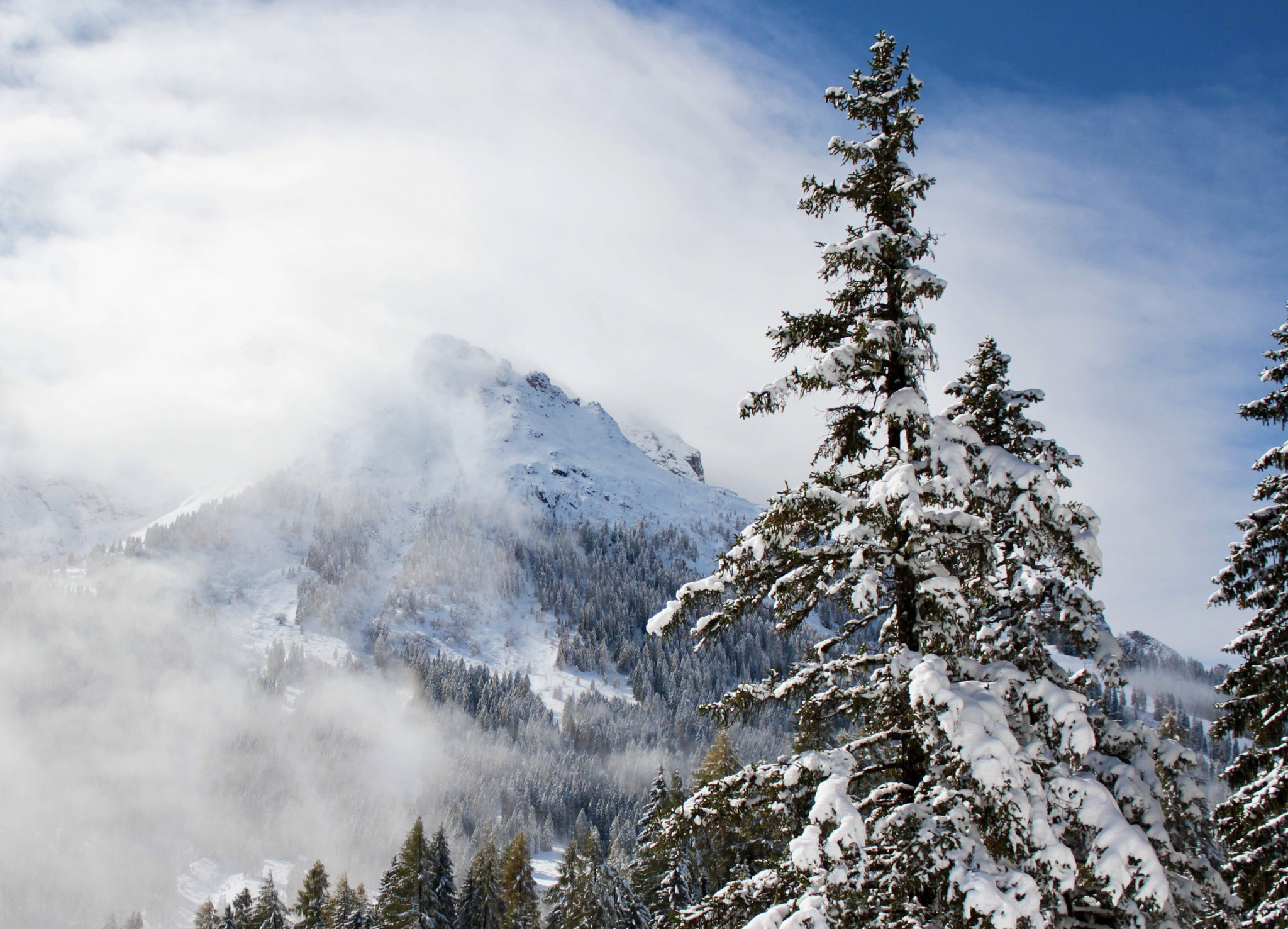Schnee in den Bergen