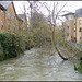 high water at Woodins Way