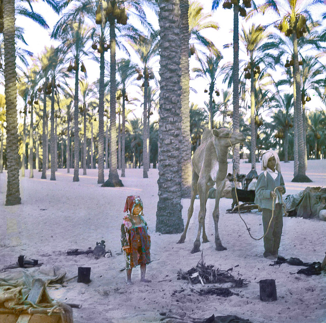 El Arish  in  1974