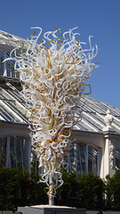 Dale Chihuly Retrospective at Kew Gardens