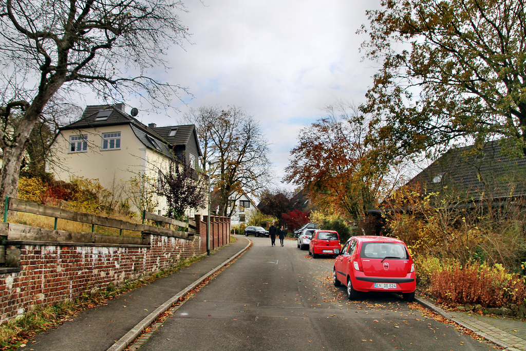 Bruno-Heide-Straße (Witten-Herbede) / 6.11.2021