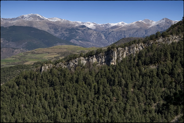 Entre els cingles i el bosc