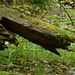 20150523 -25 Rando VTT La chapelle en Vercors (252) al