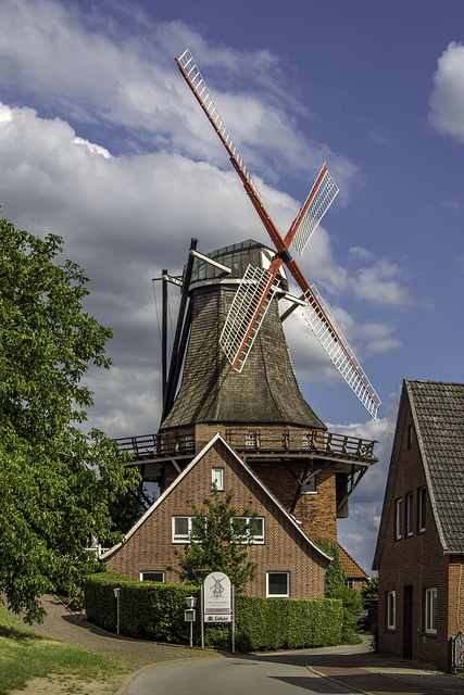 (187/365) Windmühle "Aurora" in Jork