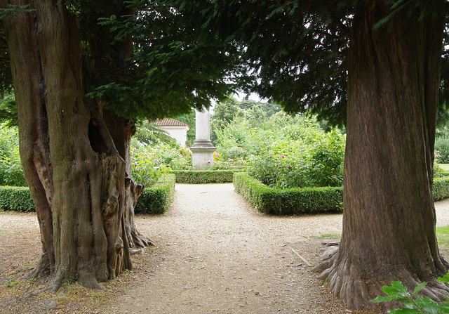 Two yews and a doric column