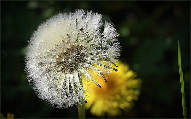 Attendre le vent