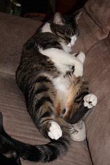IMG 0503