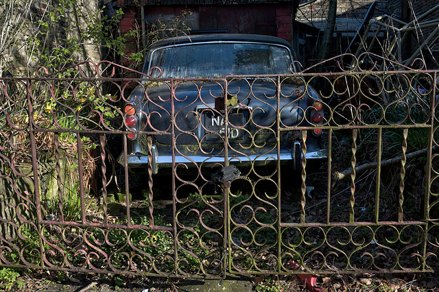 Pride and joy  gates.