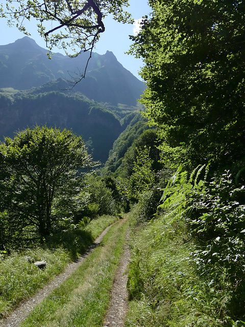 20210822 -0906 Ariège (340)