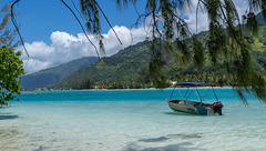 Looking to Moorea from Motu Tihura