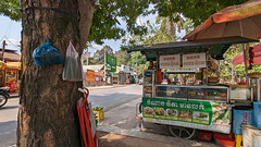 Sacs à tronc / Trunk's suspended plastic bags