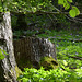 20150523 -25 Rando VTT La chapelle en Vercors (254) al